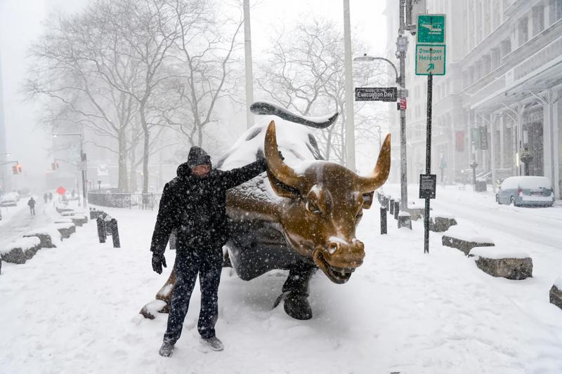 Calla Kessler_2026 Snowstorm_Charging Bull