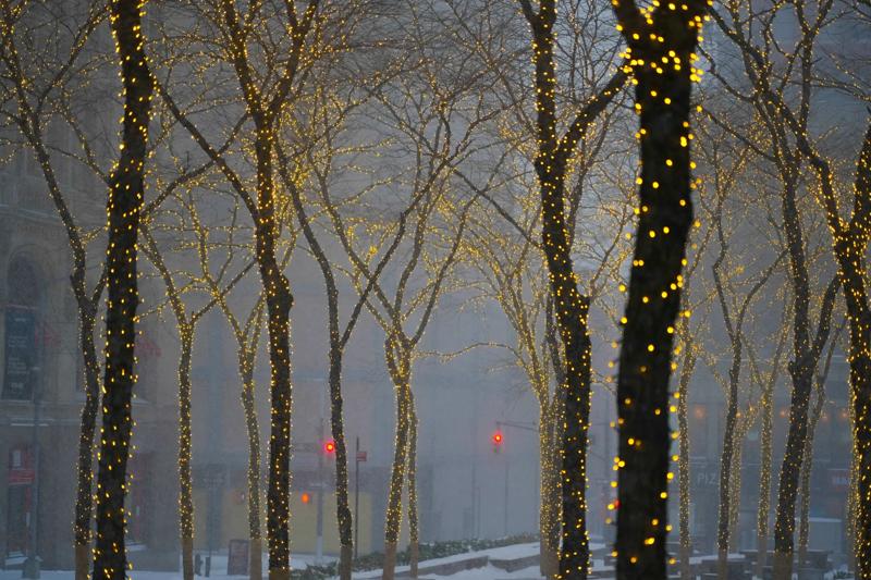 Calla Kessler_2026 Snowstorm_Zuccotti Prk