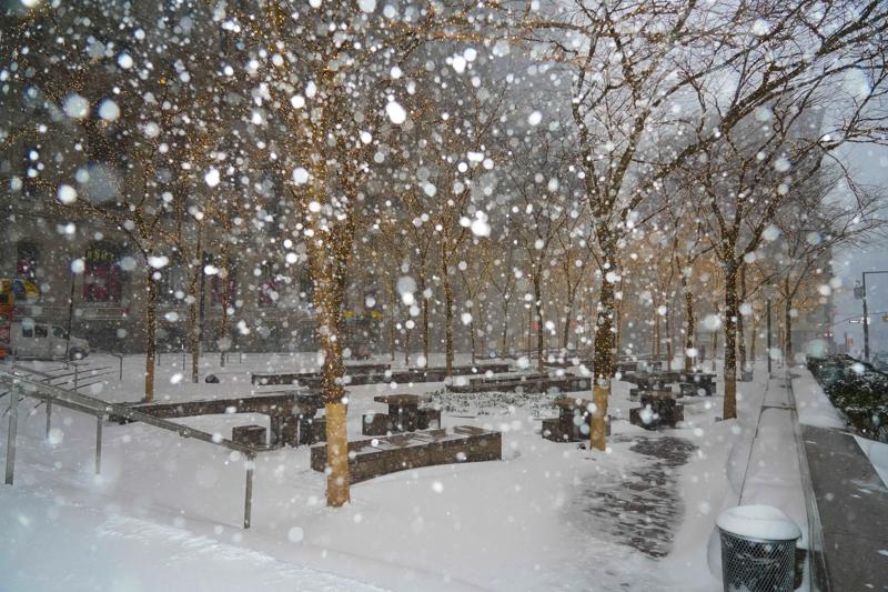 Calla Kessler_2026 Snowstorm_Zuccotti Park