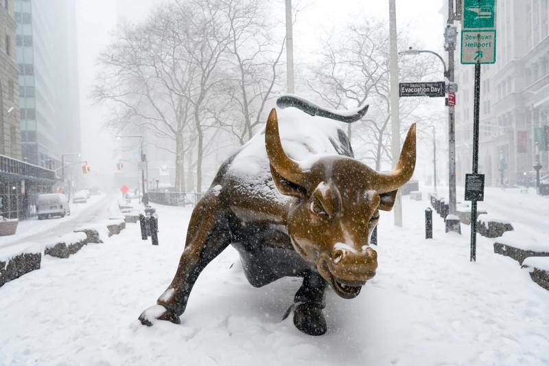 Calla Kessler_2026 Snowstorm_Charging Bull