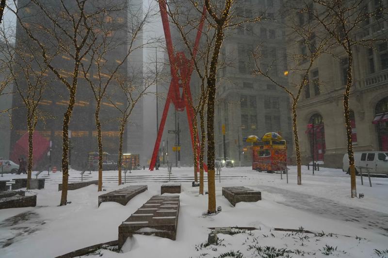 Calla Kessler_2026 Snowstorm_Zuccotti Prk