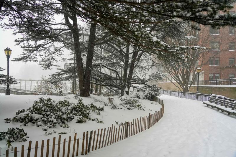 Calla Kessler_2026 Snowstorm_BPC