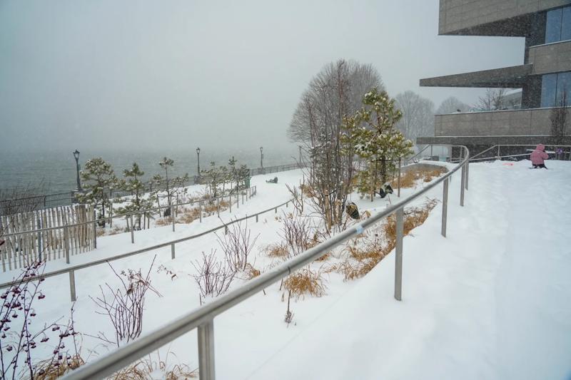 Calla Kessler_2026 Snowstorm_Wagner Park